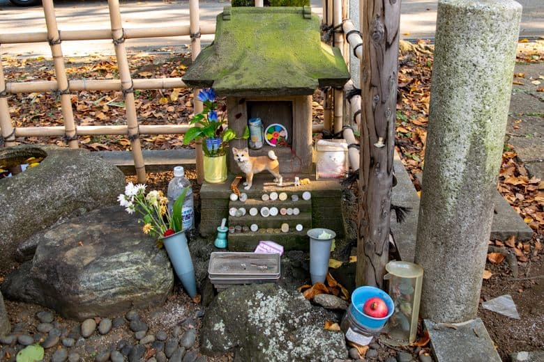 Hachikō's Grave