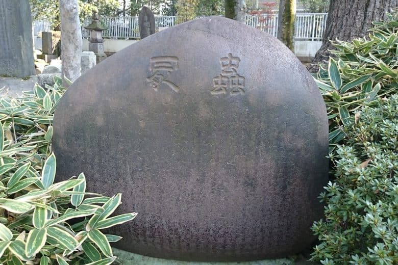 Mushizuka at Kan'ei-ji Temple cover image