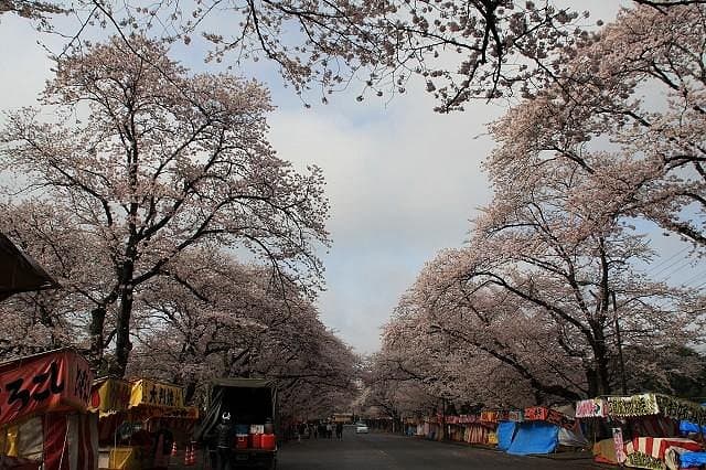 Kobayashi Farm