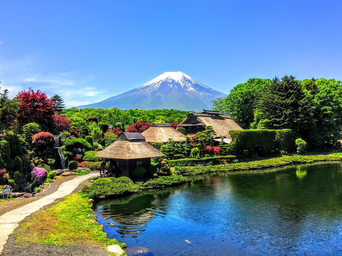 Japan Panoramic Tours cover image