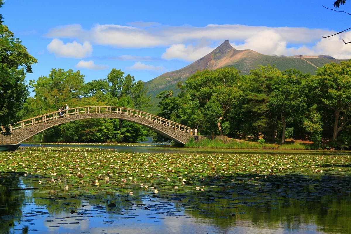 Onuma Park Walking Path cover image