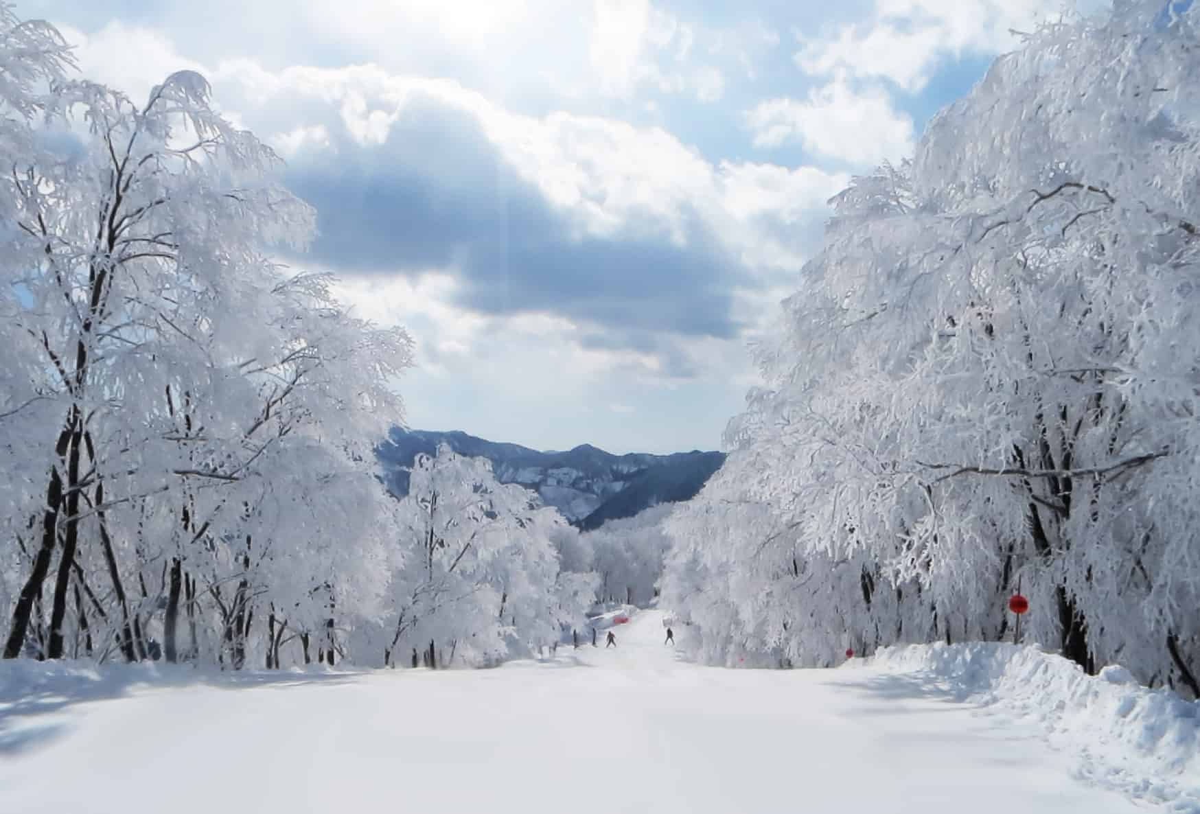 Hakuba Cortina Ski Resort