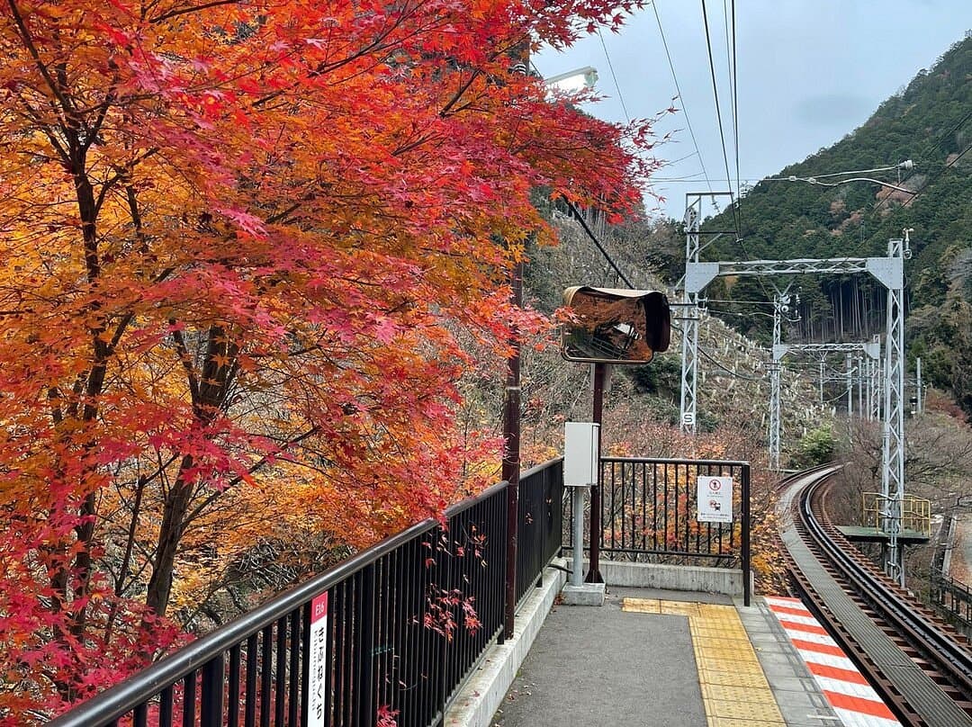 Eizan Railway Momiji Tunnel