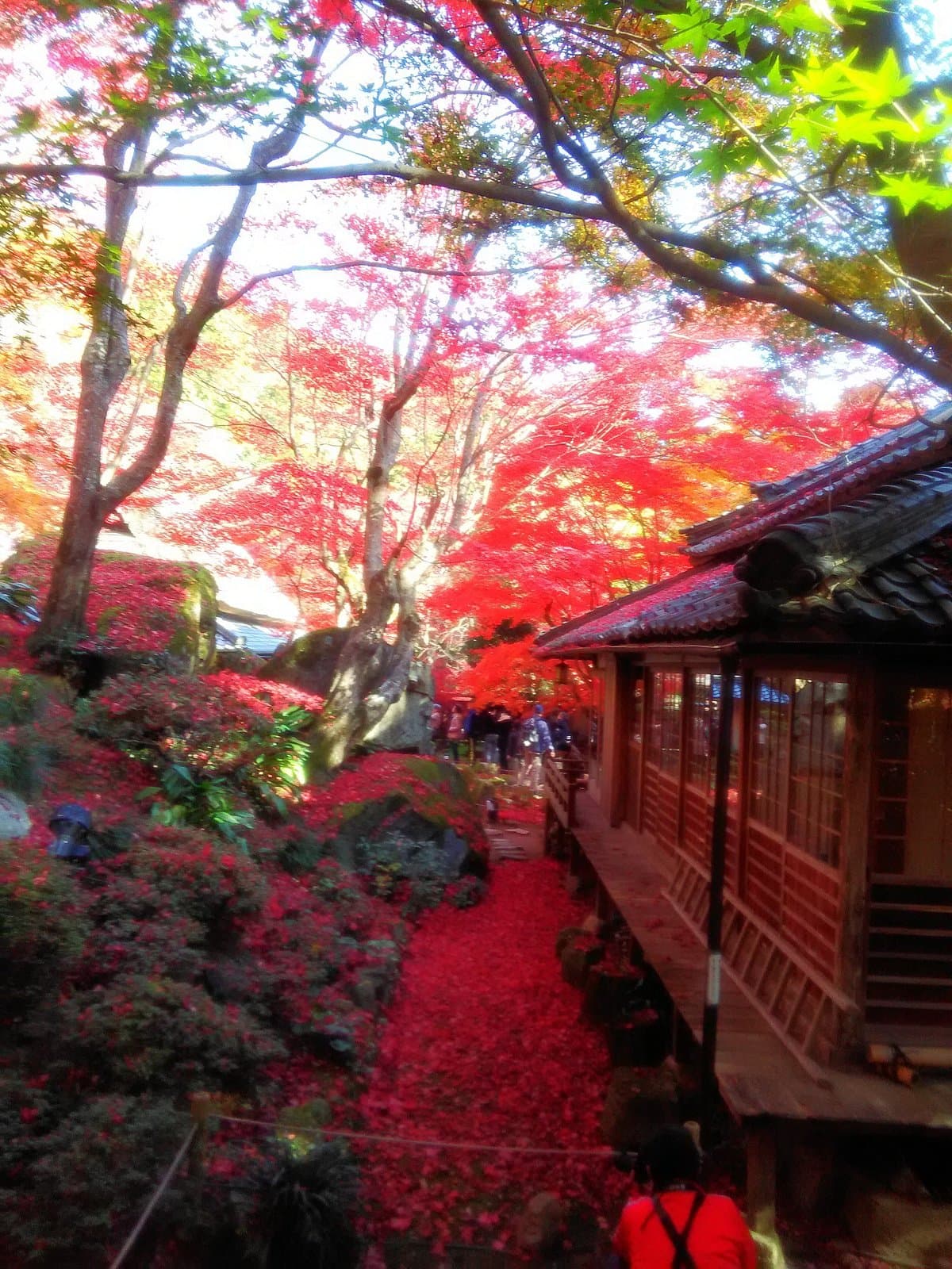 Kyorimbo Temple