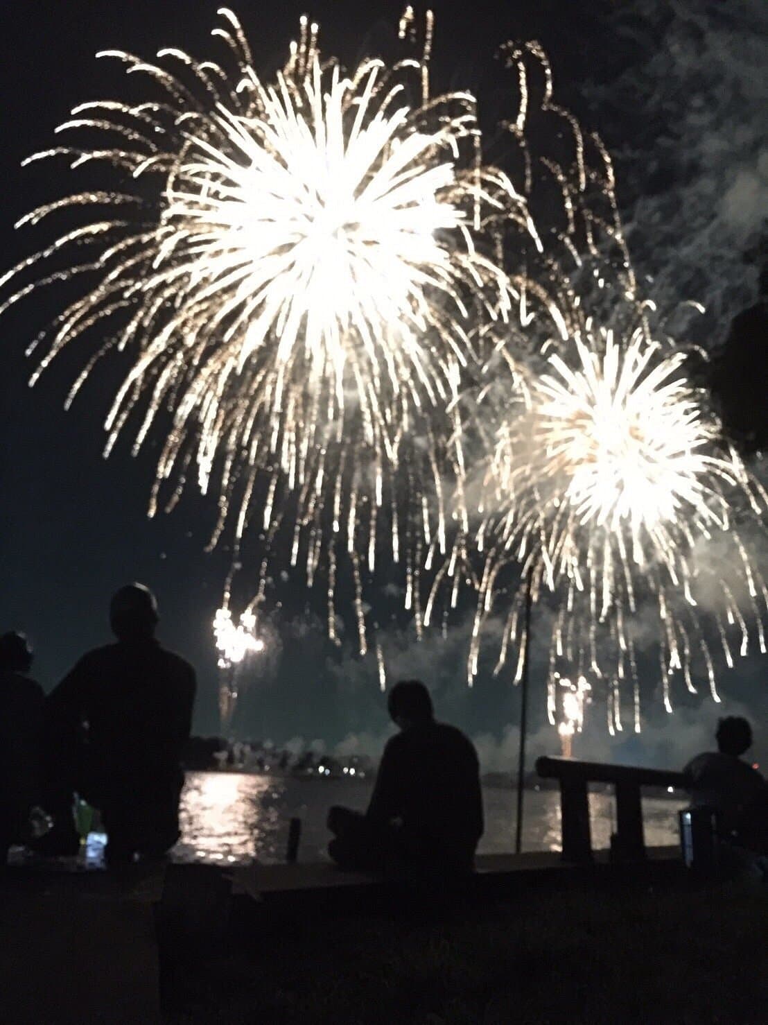 Teganuma Fireworks cover image