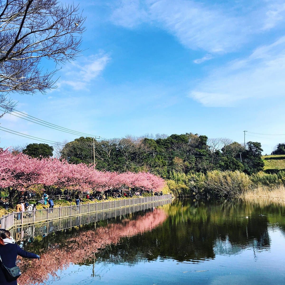 Komatsugaike Park