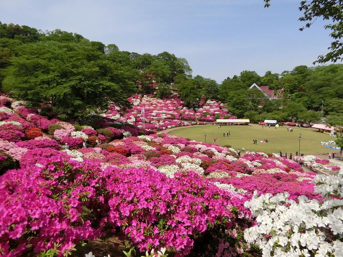Nishiyama Park