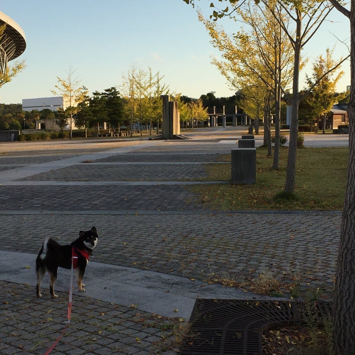 Miki Bosai Park