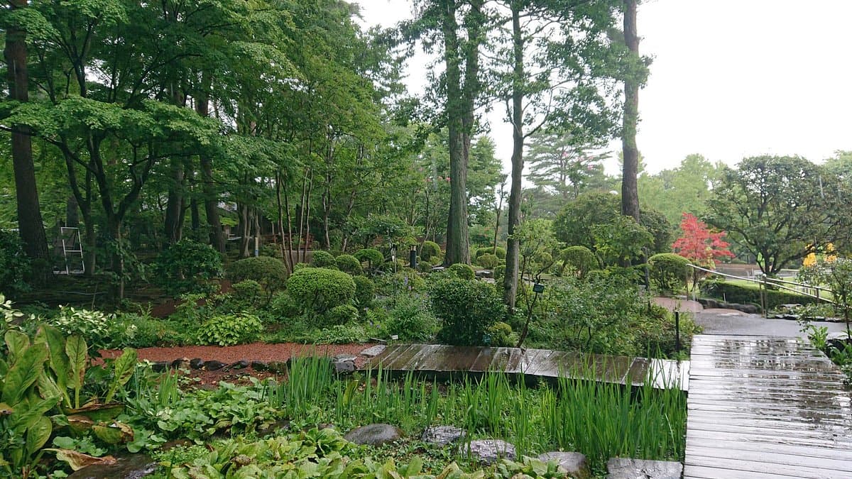 Kanten Papa Garden