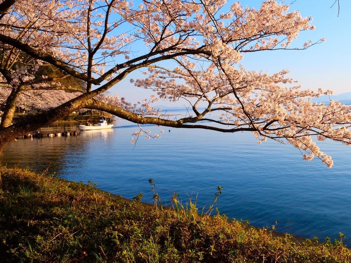 Kaizu Osaki