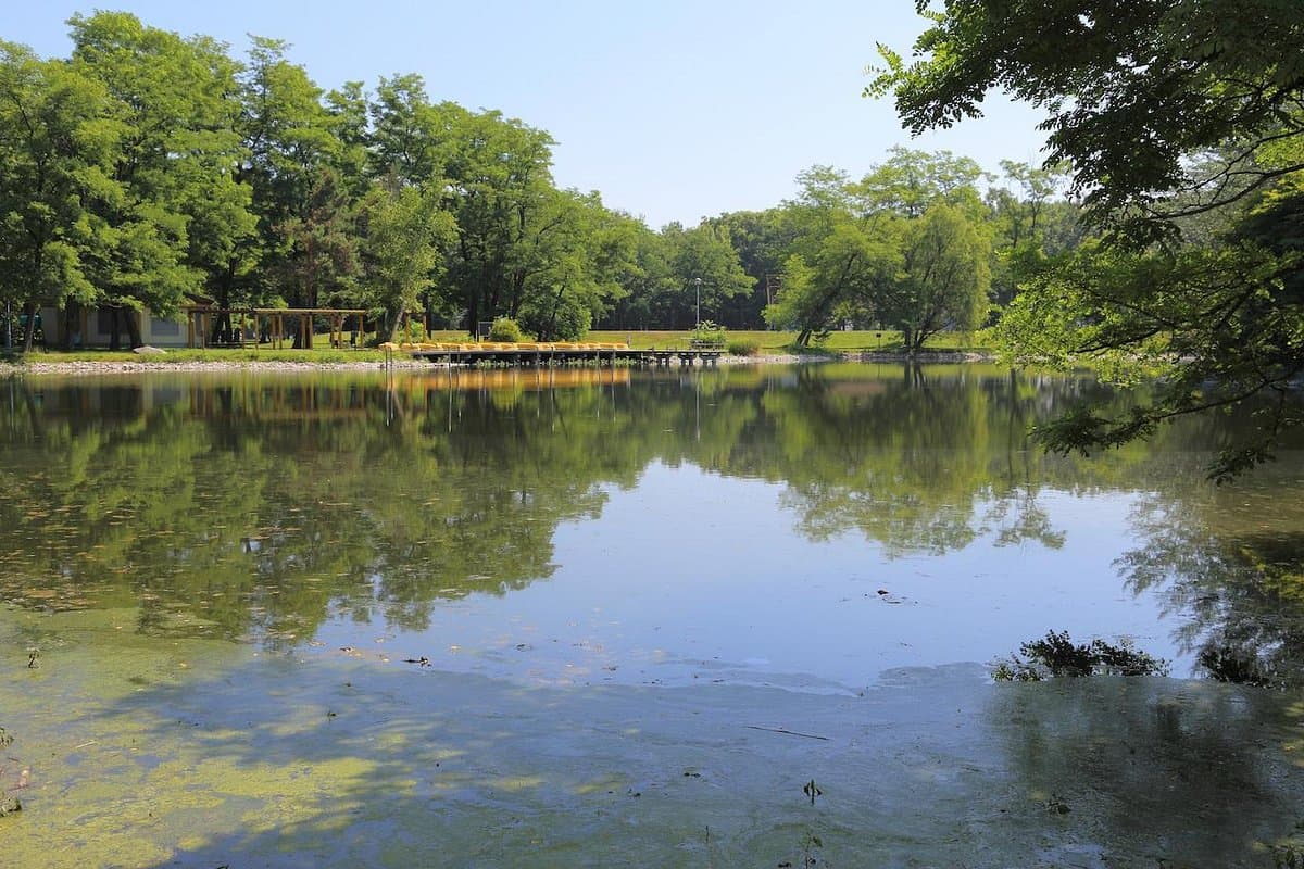 Midorigaoka Park cover image