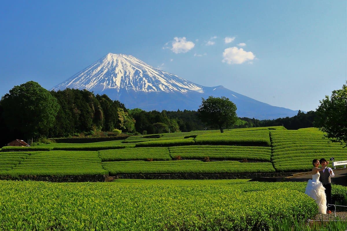 Obuchi Sasaba cover image