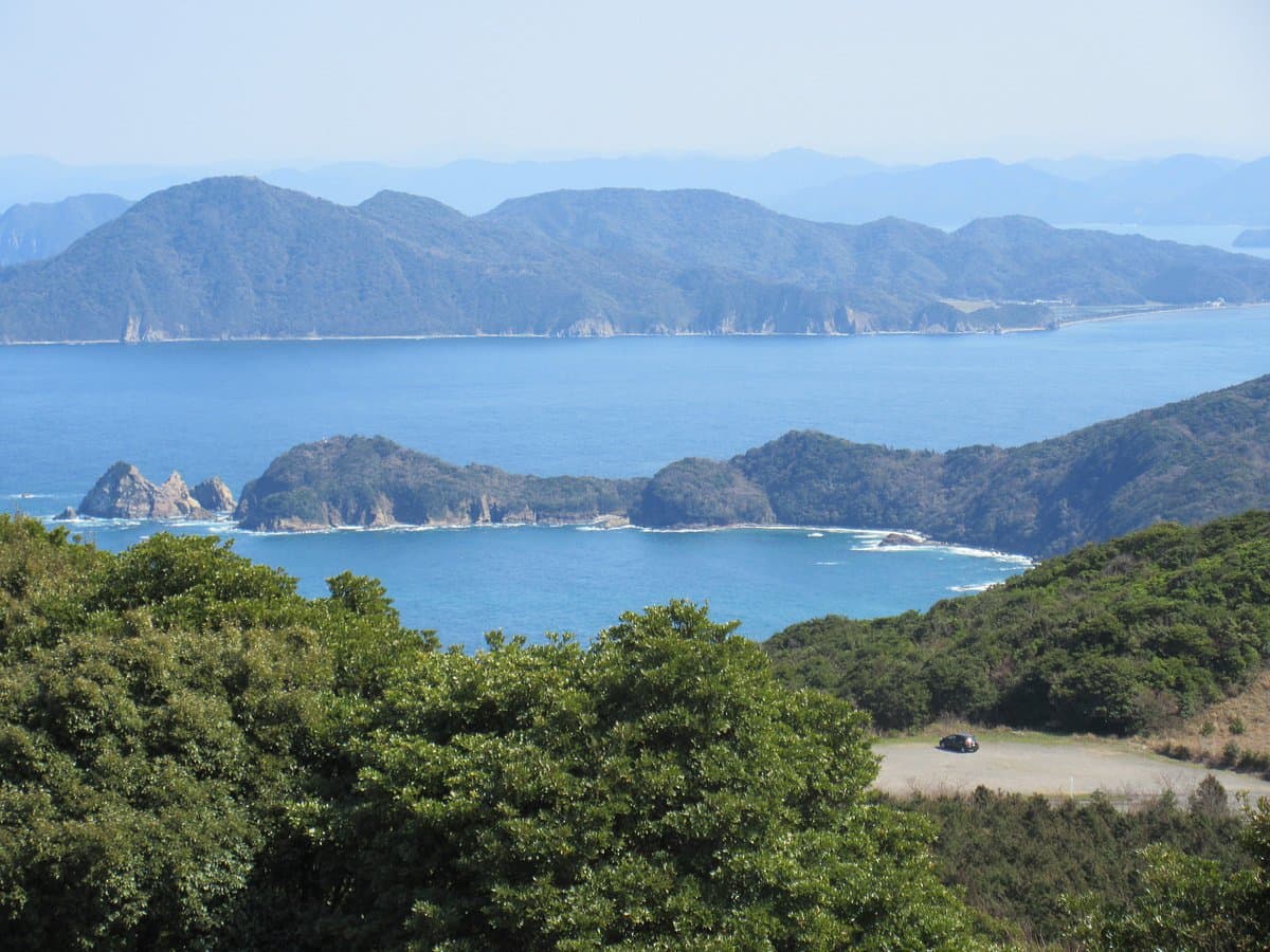 Senjojiki