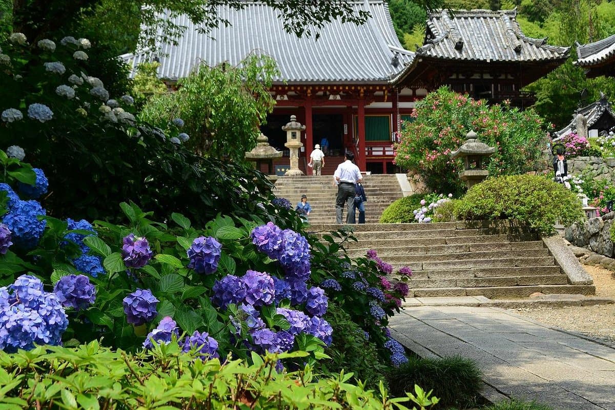 Yatadera Temple