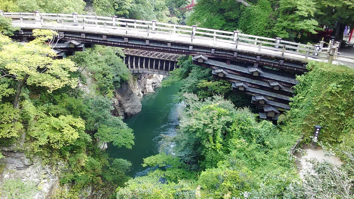 Saru Bridge cover image