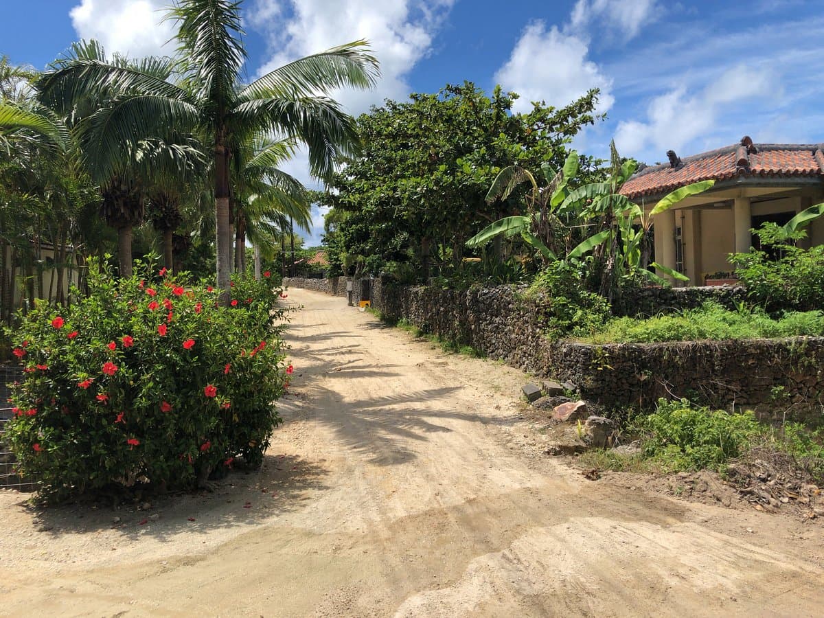 Island Countryside Settlement cover image