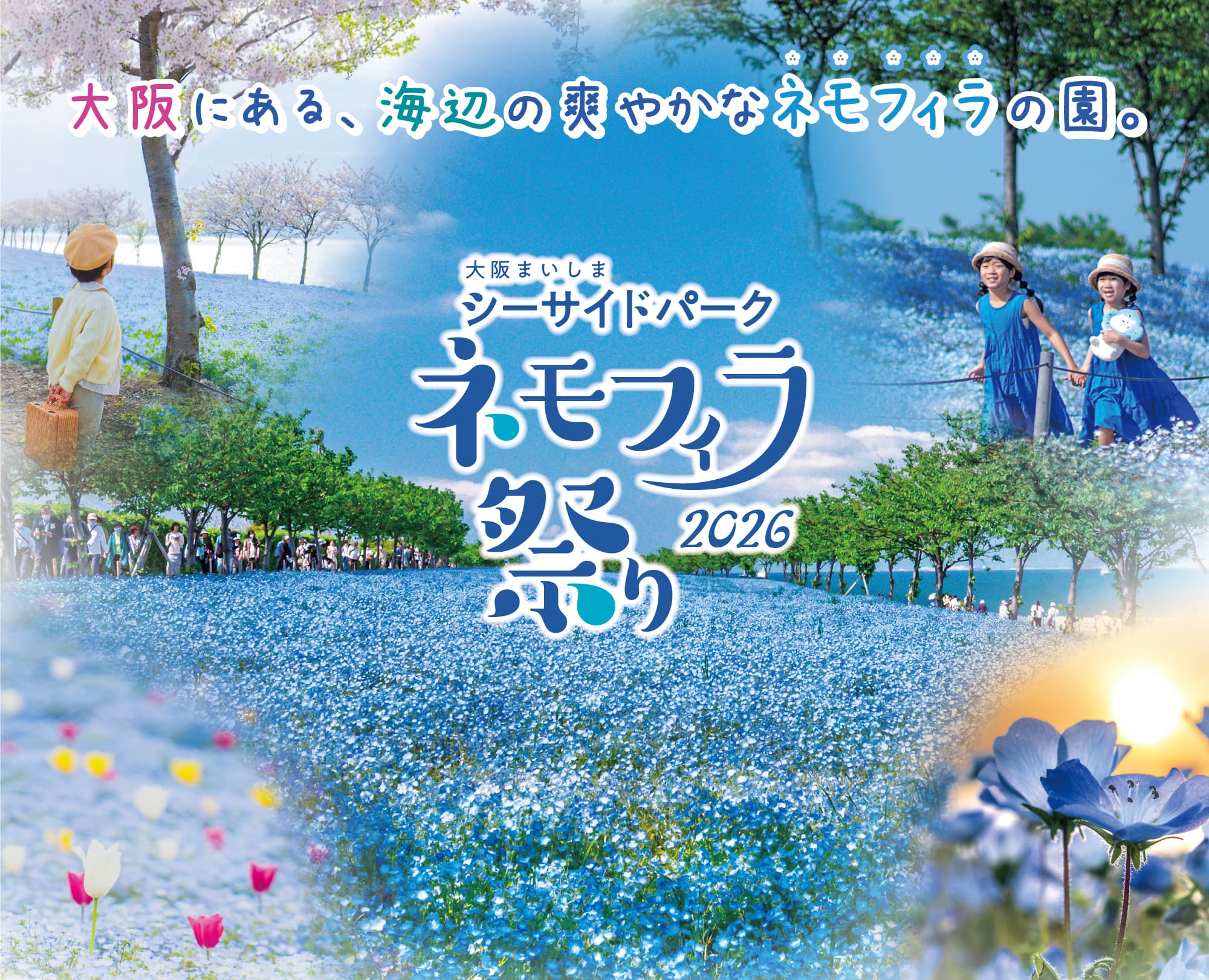 Nemophila Festival 2026