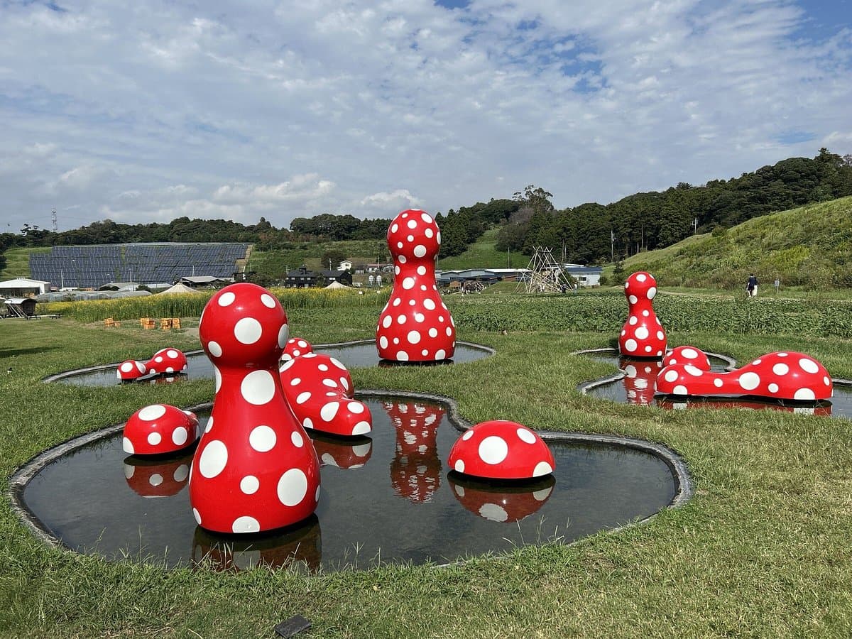 KURKKU FIELDS cover image