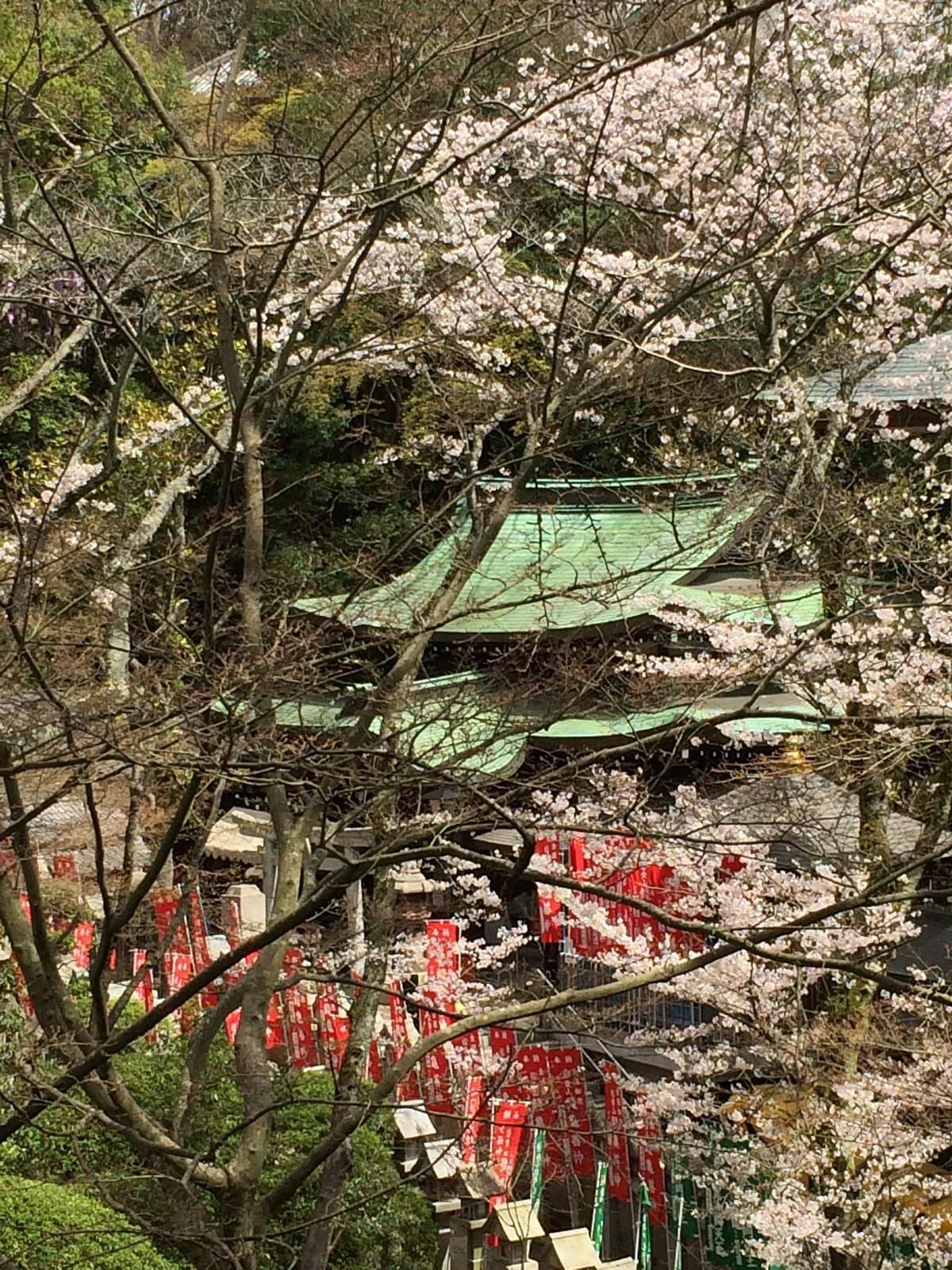 Mt. Shigi