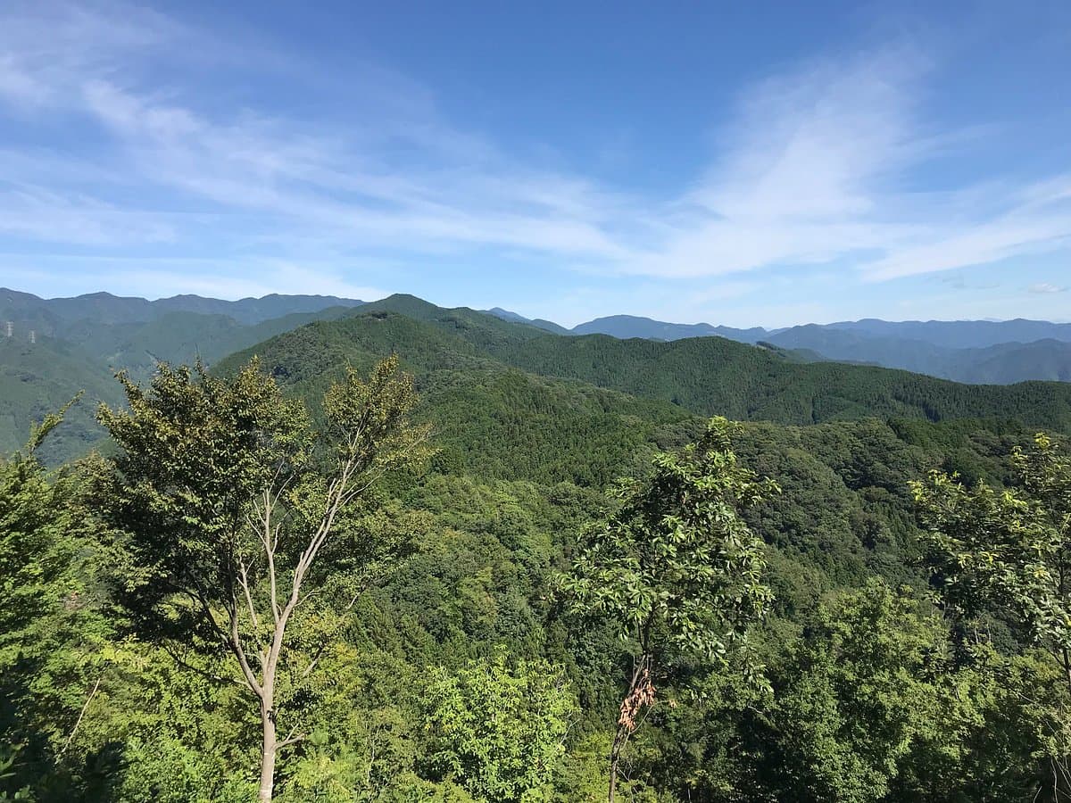 Mt. Iwatake Ishiyama cover image