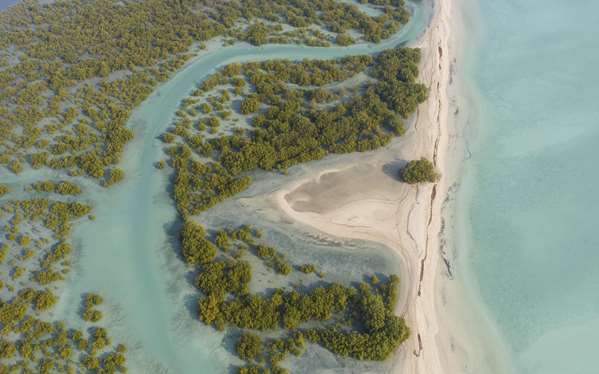 Anantara Sir Bani Yas Island Al Yamm Villa Resort