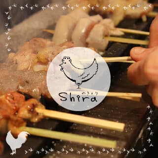 Yakitori shira: Expert Yakitori by a Chef-Sommelier