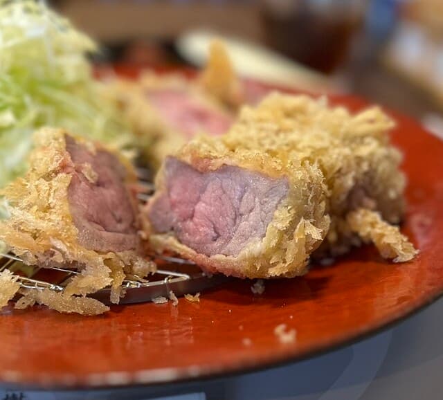 Tonkatsu Souki: Low-Temperature Tonkatsu and Hagama Rice