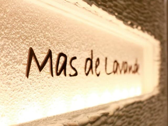 Mas de Lavande: Sauce-Driven Classical French Courses